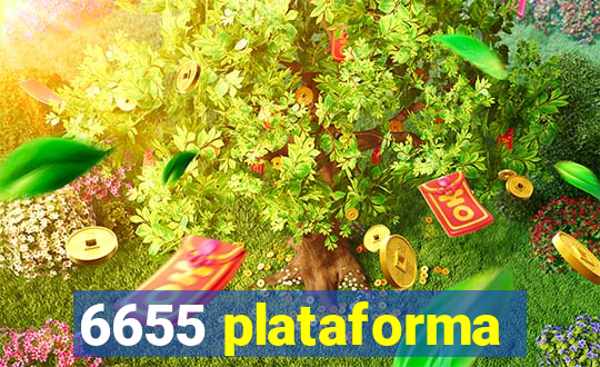 6655 plataforma