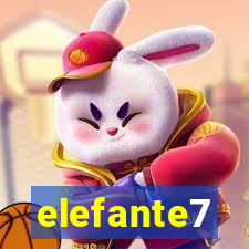 elefante7