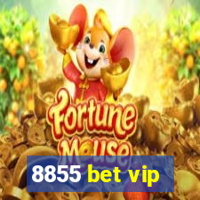 8855 bet vip