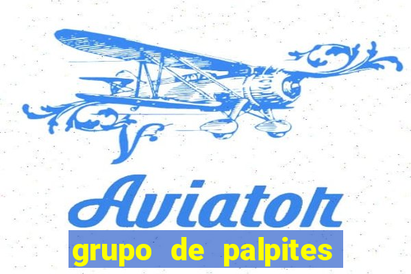 grupo de palpites de futebol whatsapp