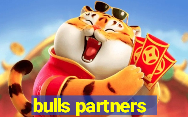 bulls partners