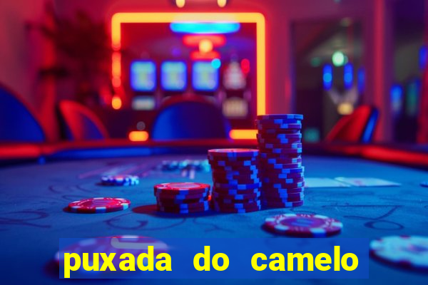 puxada do camelo no jogo do bicho