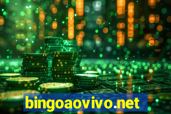 bingoaovivo.net