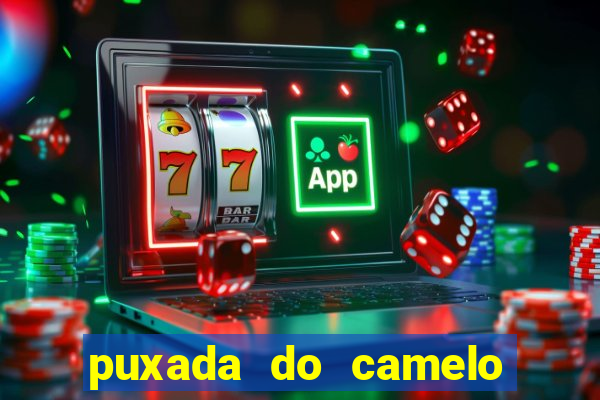 puxada do camelo jogo do bicho