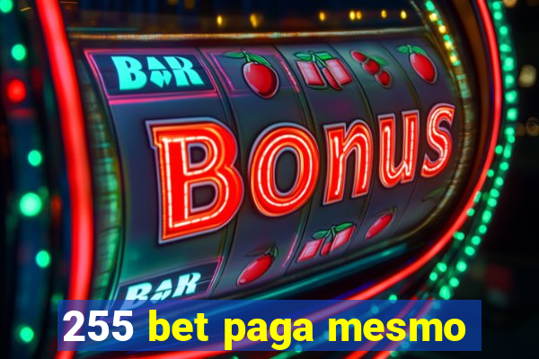 255 bet paga mesmo