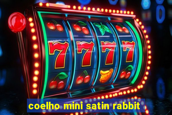 coelho mini satin rabbit