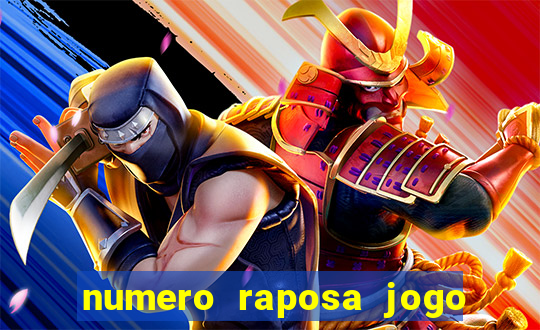 numero raposa jogo do bicho