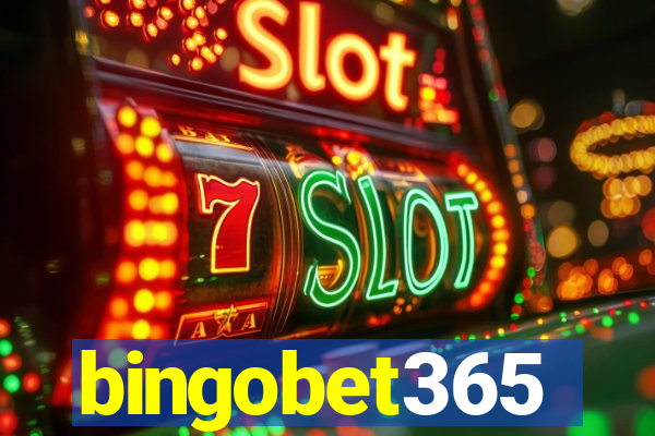 bingobet365