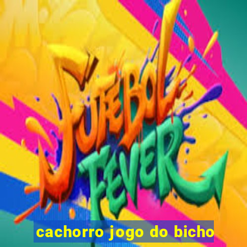 cachorro jogo do bicho