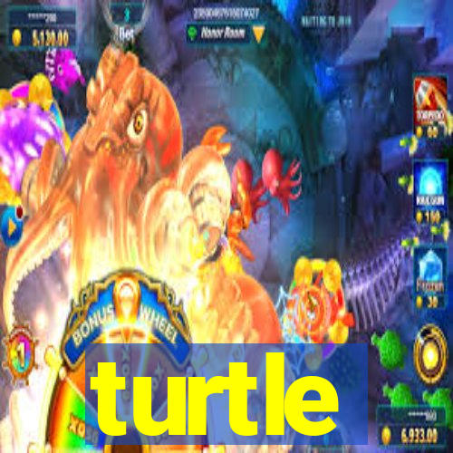 turtle-ty.com