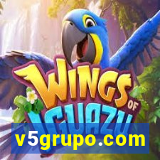 v5grupo.com